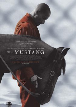 Thuần Hóa - The Mustang