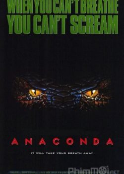 Trăn Nam Mỹ – Anaconda