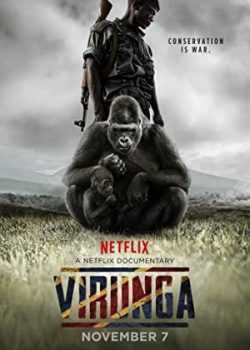 Những Chú Khỉ Cuối Cùng – Virunga