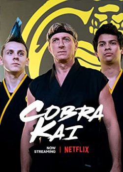 Võ Đường Cobra Kai (Phần 3) – Cobra Kai (Season 3)
