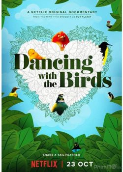 Vũ Điệu Các Loại Chim – Dancing with the Birds