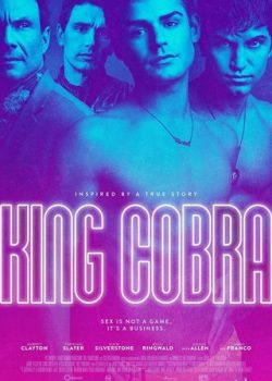 Vua Phim Đồng Tính - King Cobra