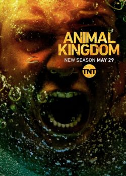 Vương Quốc Động Vật (Phần 3) – Animal Kingdom (Season 3)